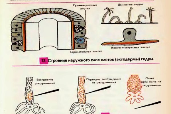 Как зайти на кракен через айфон